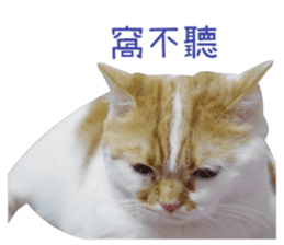 I AM HUHU sticker #15559777