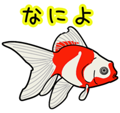 relax fish sticker #15560538