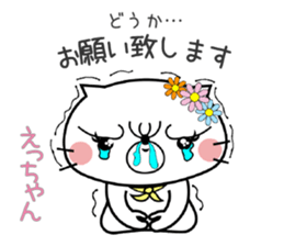 Cat Sticker Ecchan sticker #15562990