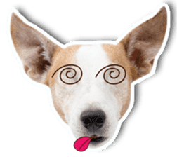 Jack Russel cutie and funny dog sticker #15563161