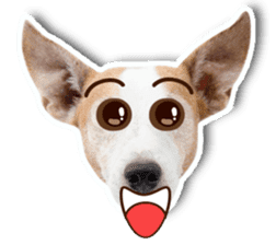 Jack Russel cutie and funny dog sticker #15563163