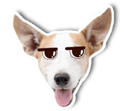 Jack Russel cutie and funny dog sticker #15563164