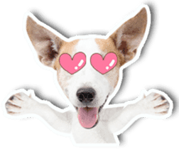 Jack Russel cutie and funny dog sticker #15563169