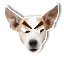 Jack Russel cutie and funny dog sticker #15563170