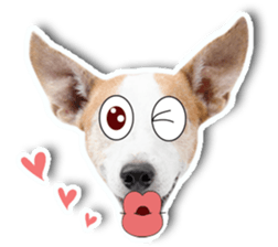 Jack Russel cutie and funny dog sticker #15563176