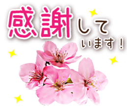 Spring has come! sticker #15563178