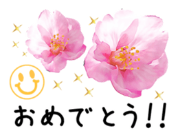 Spring has come! sticker #15563206