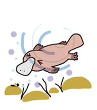 Animals travel in Australia sticker #15563612