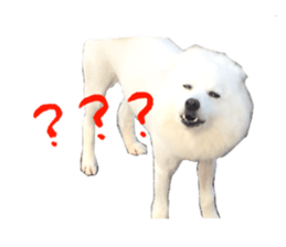 Mini&Mico sticker #15568834