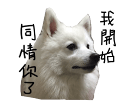 Mini&Mico sticker #15568835