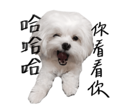 Mini&Mico sticker #15568836