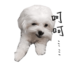 Mini&Mico sticker #15568837