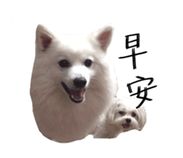 Mini&Mico sticker #15568838