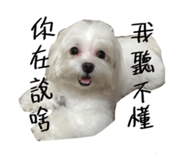 Mini&Mico sticker #15568839