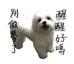 Mini&Mico sticker #15568842