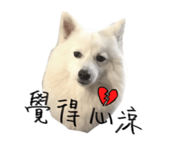 Mini&Mico sticker #15568845