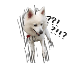 Mini&Mico sticker #15568847