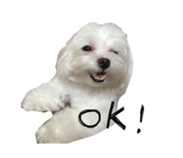 Mini&Mico sticker #15568848