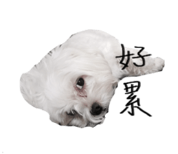 Mini&Mico sticker #15568849