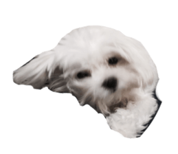 Mini&Mico sticker #15568850