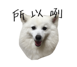 Mini&Mico sticker #15568852