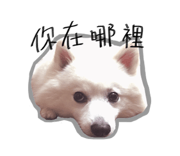 Mini&Mico sticker #15568854