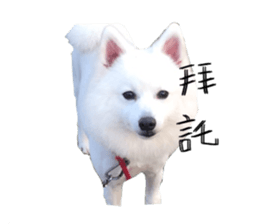 Mini&Mico sticker #15568855