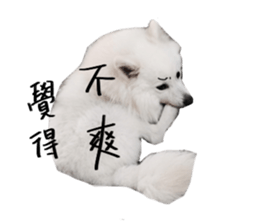 Mini&Mico sticker #15568856