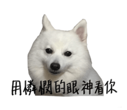 Mini&Mico sticker #15568857