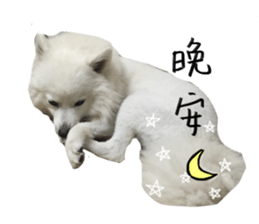 Mini&Mico sticker #15568858