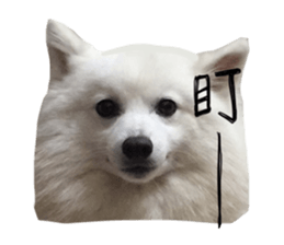 Mini&Mico sticker #15568859