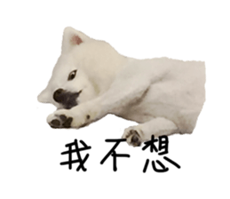 Mini&Mico sticker #15568861