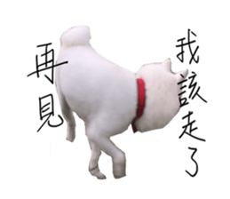 Mini&Mico sticker #15568862