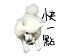 Mini&Mico sticker #15568864