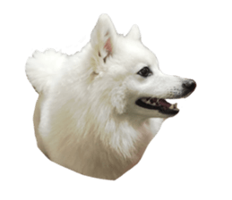 Mini&Mico sticker #15568865