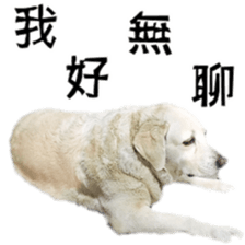 Duoduo's daily life sticker #15570522