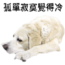 Duoduo's daily life sticker #15570523