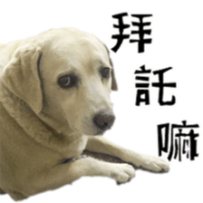 Duoduo's daily life sticker #15570530