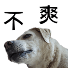 Duoduo's daily life sticker #15570534