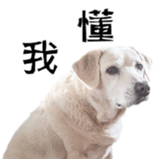 Duoduo's daily life sticker #15570537