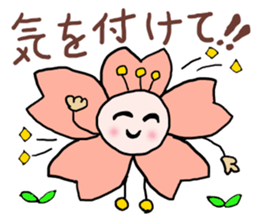 words ot cherry blossom petals 2 sticker #15571133