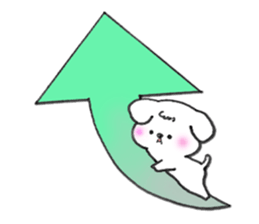 Maltese dog Snow sticker #15571534