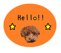 Toy poodle the Muck simple sticker sticker #15572477