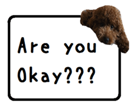 Toy poodle the Muck simple sticker sticker #15572478