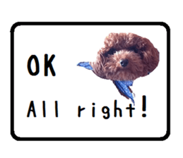 Toy poodle the Muck simple sticker sticker #15572481