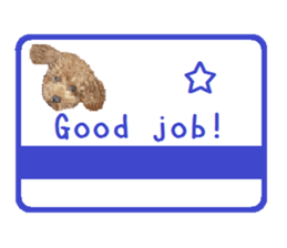 Toy poodle the Muck simple sticker sticker #15572482
