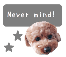 Toy poodle the Muck simple sticker sticker #15572491