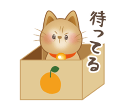 Cute cat Ginji's Sticker sticker #15574574
