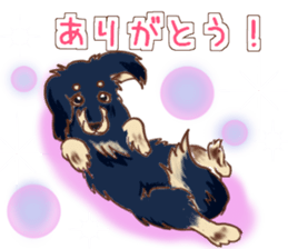 Everyday conversation of miniature dachs sticker #15575074