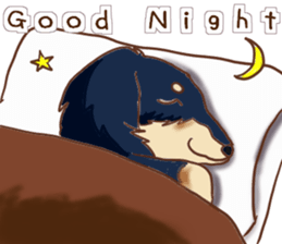 Everyday conversation of miniature dachs sticker #15575080